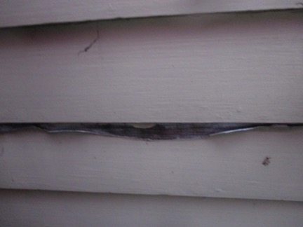 Top 10 tips for looking for water damage and mold in buildings - Peeling Paint on Siding